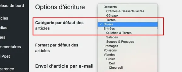 Categories in WordPress, How to use them